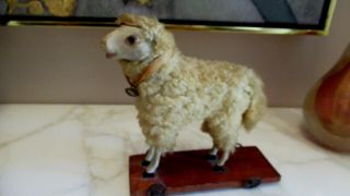 Antique Pull Toy Sheep Lamb On Wheels Glass Eyes & Bell Doll German