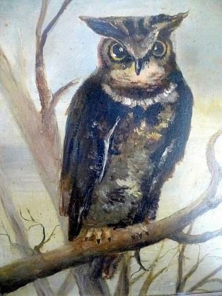 Antique Oil Painting Folk Art Owl Bird On Branch Halloween Art?