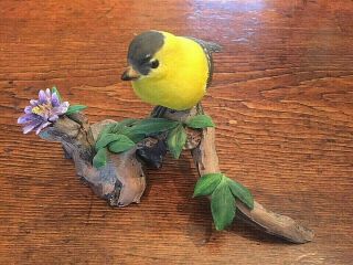 Vtg Folk Art Wood Carved Goldfinch Bird,  Flower,  Leaves On Driftwood