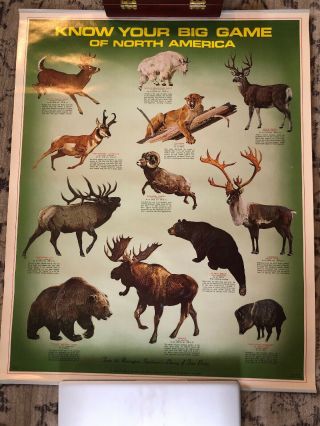 Vintage Remington Arms Company " Know Your Big Game Of North America " Poster