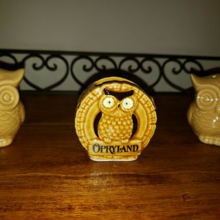 Vintage Opryland Owl Toothpic Holder,  Owl Shakers