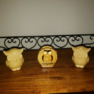 Vintage Opryland Owl Toothpic Holder,  owl shakers 2