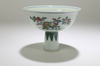 A Chinese Flat - Opening Peach - Fortune Porcelain Cup