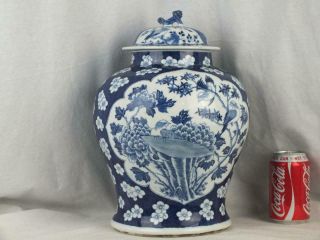Good Large 14 " 19thc Chinese Porcelain Blue & White Prunus Birds Jar & Cover - 1