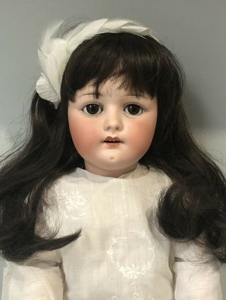Antique 27” German Bisque Heubach Koppelsdorf 250 8 Doll