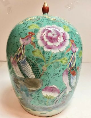 Antique Chinese Peranakan Nonya Straits Phoenix Bird Flower Porcelain Urn Vase 1