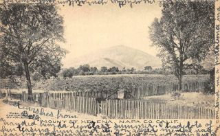 Mount St.  Helena Napa County,  California 1908 Vintage Postcard