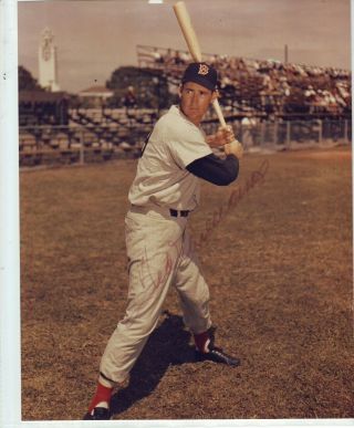 Ted Williams 8 X 10 Autographed Color Photo