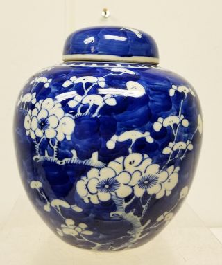 Antique Chinese Underglaze Blue And White Ginger Jar Prunus Decoration Lid