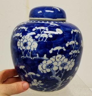 Antique Chinese Underglaze BLue and White Ginger Jar Prunus Decoration Lid 2