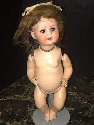 Antique German Bisque Doll Orig Heubach Koppelsdorf Character Baby 300