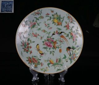 Chinese Antique Famille Rose Celadon Porcelain Plate 19th C Ex Cond 25cm/ 10