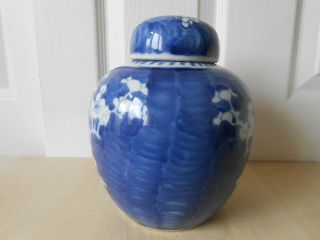 19th/20th Century Large Chinese Prunus Porcelain Jar Approx 8 