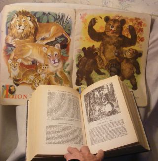 Complete Illustrated Hans Christian Andersen,  At the Zoo 3