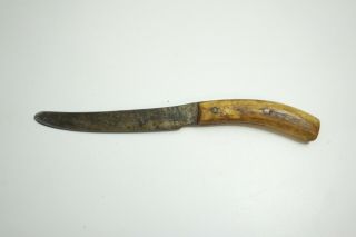 Antique Small Butcher Trade Knife 9.  25 " Long With 5.  25 " Blade Stag Bone Handle