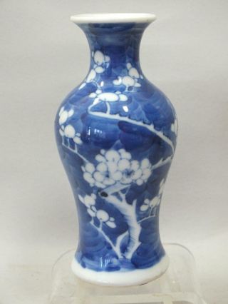 A Chinese Porcelain Vase With Blue Prunus Decor 19thc