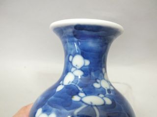 A CHINESE PORCELAIN VASE WITH BLUE PRUNUS DECOR 19THC 2