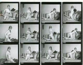 Terry Graham Vintage Nude Contact Sheet By Terry Sparks (10 " X 8 ")