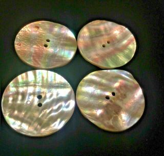 4 Large Shiny Abalone Shell Mother Of Pearl Rainbow 2 - Hole Vintage 1.  5 " Buttons