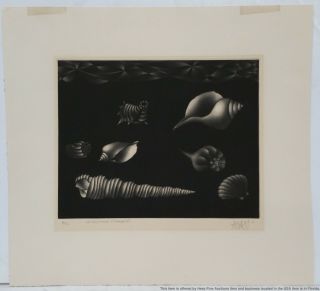 Mario Avati Shells Mezzotint Print Vintage 1960 Pencil Signed 18/56