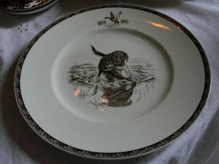 Vintage Wedgwood China American Sporting Dog Plates Labrador Retriever Plate