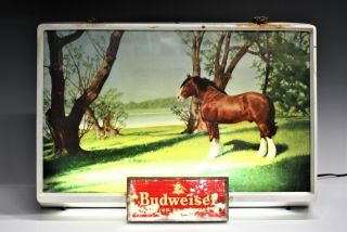 Vintage Budweiser Beer Bar Lighted Advertising Sign With Clydesdale Horse