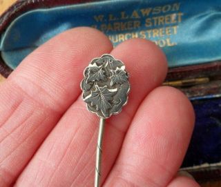 Vintage Jewellery Victorian Sterling Silver Ivy Leaf Stick Pin Hallmarked