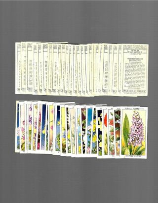 Cigarette Cards.  Wills Tobacco.  Wild Flowers 1st (adhesive).  (full Set Of 50).  1936.