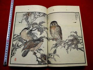 1 - 15 Bairei Japanese Bird Ehon Woodblock Print Book