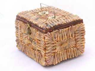 Rare Large Antique French C1900 Shell Art Seashell Encrusted Jewelry Box
