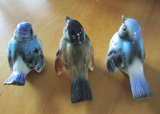 3 vintage Goebel W Germany different porcelain bird figurines,  very pretty 2