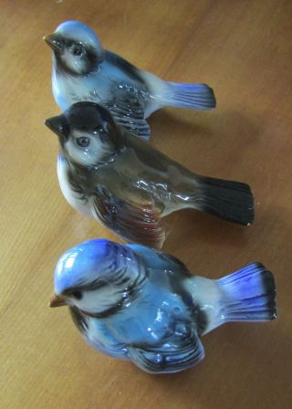 3 vintage Goebel W Germany different porcelain bird figurines,  very pretty 3