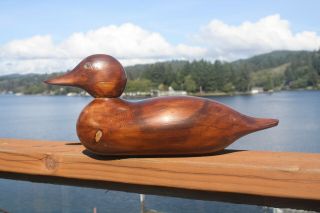Duck Decoy,  Mason,  With Natural Wood Finish & Glass Eyes.
