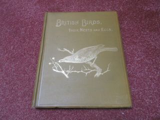 British Birds And Their Nests And Eggs,  Arthur G Butler F W Frohawk - Vol 2