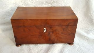 Antique - Georgian Good Sized Satin Walnut Dual Bin Tea Caddy Box - Circa 1810