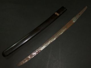 Wakizashi (sword) W/saya Sheath : Jyumyo : Edo : 20.  9 × 15.  5 " 380g