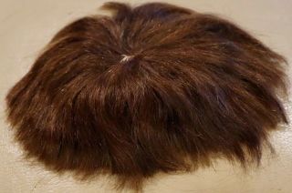 148 Antique 12 " Human Hair Doll Wig For Antique French Or German Bisque Doll