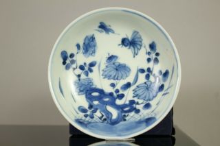 A Chinese Kangxi Period (1662 - 1722) blue & white dish with Lingzhi mark to base 2
