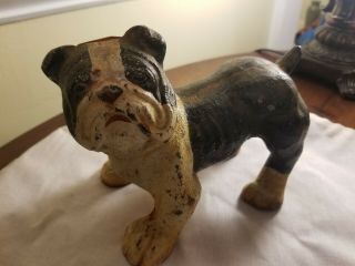 Antique Cast Iron Bull Dog Bank