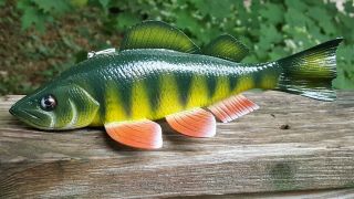 Deluxe 9 " Perch Fish Decoy Carved By The Champion Eric Wallace - Spearing Lure