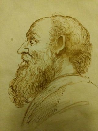 Old Master Antique Drawing Profile Of An Old Manold Master An
