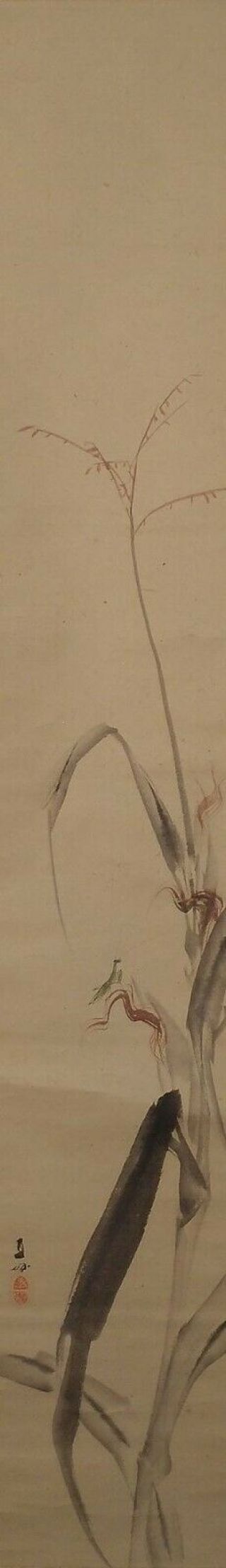 2001 Japanese Hanging Scroll: Mantis On Corn By Fukada Chokujo