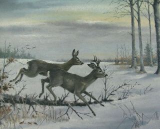 Vintage Painting Deer Running Landscape Acrylic Framed Signed 1964 21 " X17 "