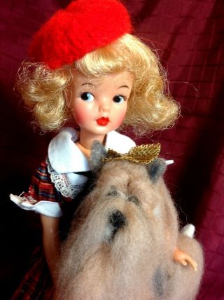 Vintage Ideal Blonde Tammy And Needle Felt Pet Dog