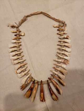 Old Antique Native American Indian Plains Buffalo & Horse Tooth Beaded Necklace