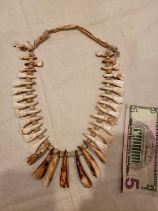 Old Antique Native American Indian Plains Buffalo & Horse Tooth beaded Necklace 2