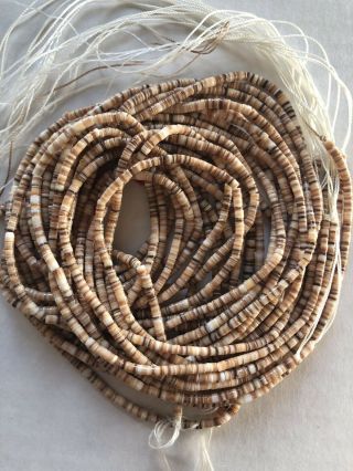 10 Vintage Creme & Tan Heishi Shell Bead Strands 24in