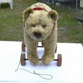 Very Rare Early Antique Steiff Bear 17” Wooden Wheels Long F Underscored Button