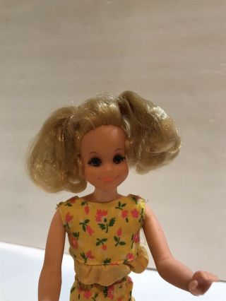 Vintage Mattel Barbie Skipper MOD Living FLUFF DOLL,  Skateboard 2