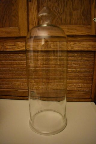 Vintage 18 " Glass Cloche / Display With Glass Knob Handle